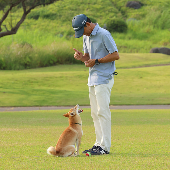 預かりトレーニングにこだる理由