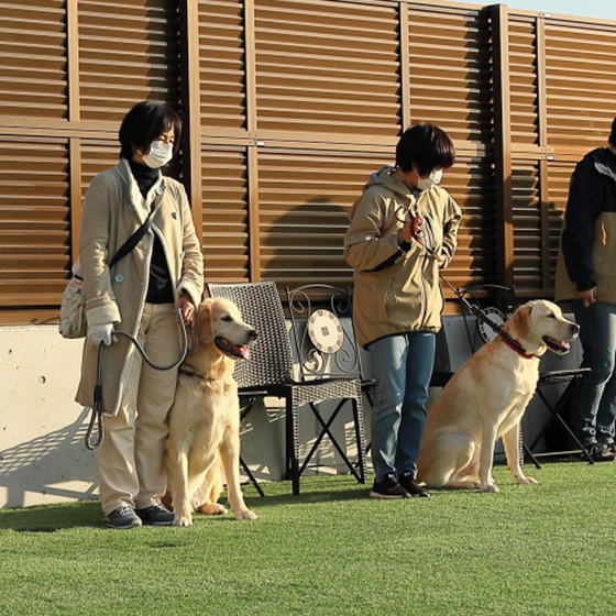 飼い主さんのトレーニング