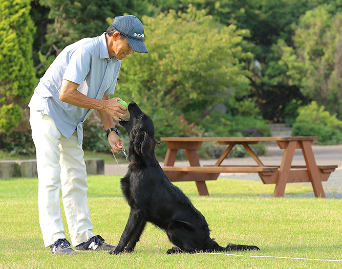 愛情を込めて育てたわんこたちです
